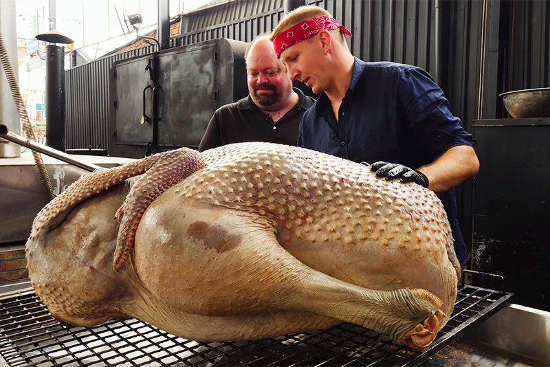 Cooking An Ostrich Whole – Can It Be Done?!