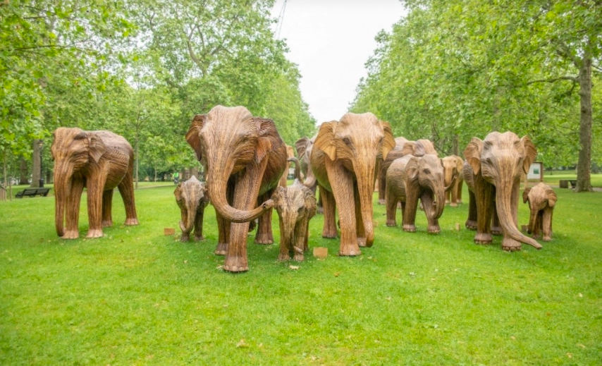 LifeSized Elephant Sculptures Brings Message To All Humans In