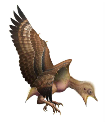The Almost 100-Million-Year-Old Baby Bird Feather Study Reveals New Answers On Dinosaur Extinction 2