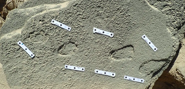 Fossilised Footprint Provides Proof Of Earliest Shoe 2