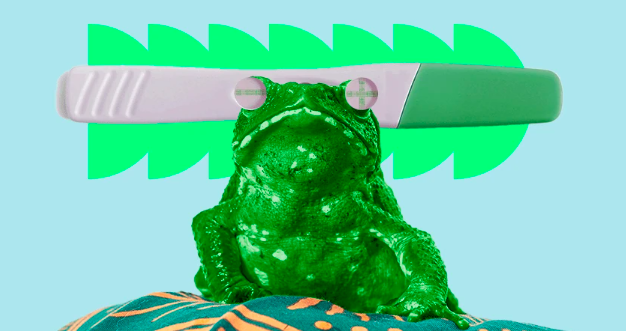 How Frogs Once Was Used As Pregnancy Tests