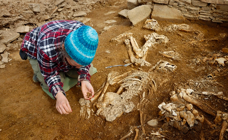 Stone Tomb Discovered In Scotland Displaying Hugging Skeletons 2