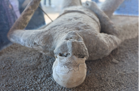 Scientist Conduct First Successful DNA Sequencing Of Man From Pompeii Eruption 2