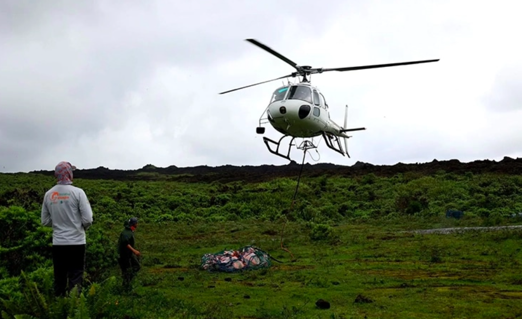 136 Juvenile Galápagos Tortoises Set Free In The Wild 2
