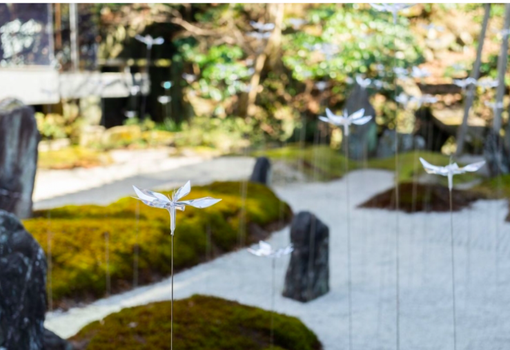 Beautiful Japanese Garden Filled With Incredibly Calming Transparent Flowers