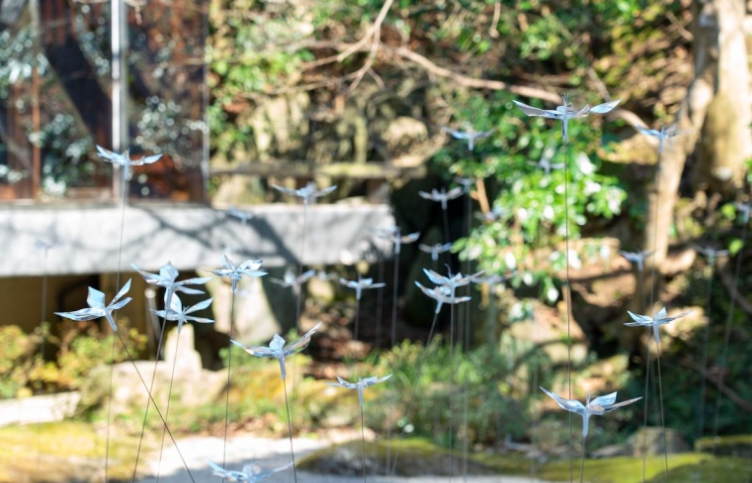 Beautiful Japanese Garden Filled With Incredibly Calming Transparent Flowers