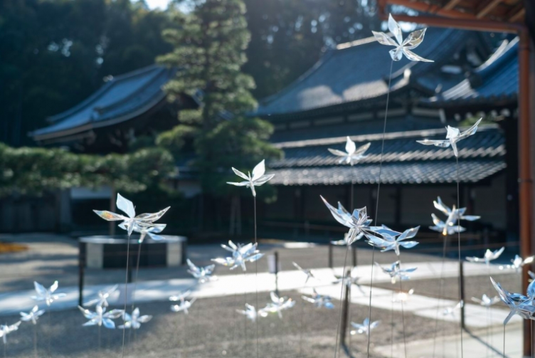 Beautiful Japanese Garden Filled With Incredibly Calming Transparent Flowers