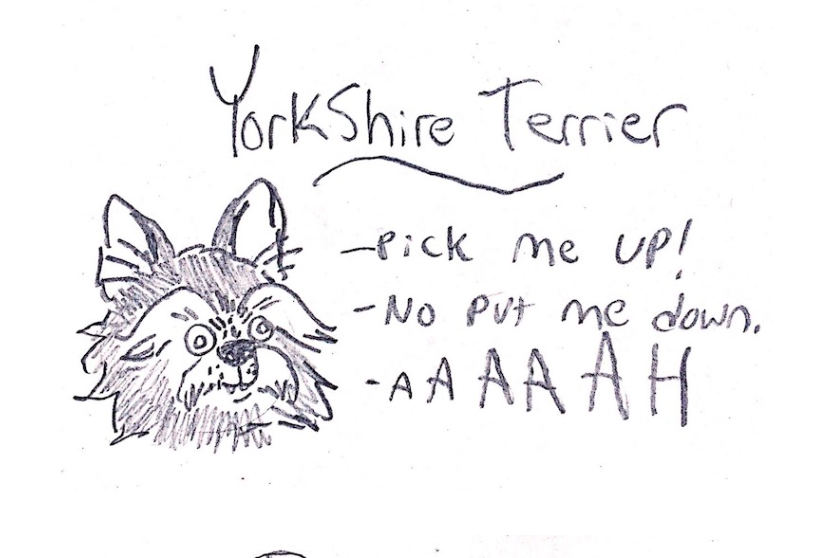 Hilarious Illustrations Of The Different Personalities Of  Various Dogs 2