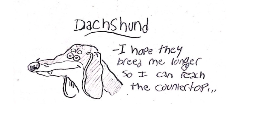 Hilarious Illustrations Of The Different Personalities Of  Various Dogs 3