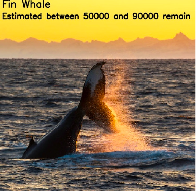 Population Of Different Species Illustrated By The Amount Of Pixels 3