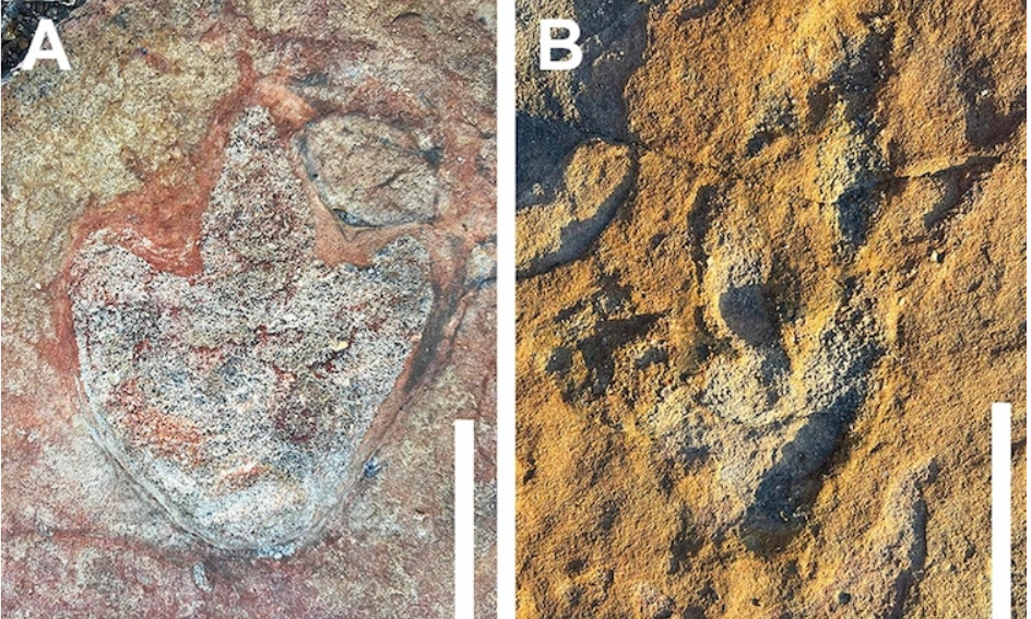 Ancient Carvings Proves Early Humans Knew About Dinosaurs 2