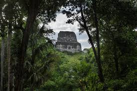 Lost Mayan City Discovered In The Jungle By a Group Of Students By Accident 2