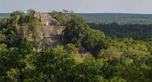 Lost Mayan City Discovered In The Jungle By a Group Of Students By Accident 3