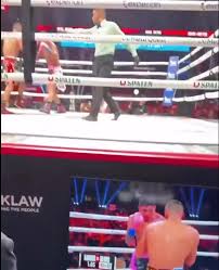 Fan Pays $2 Million For Tyson And Paul Tickets Just To Watch It On a Screen 2