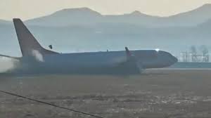 Heartbreaking Final Message Of a Passenger On The Jeju Air Plane Crash 2