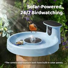 Incredible Bird Bath Now Automatically Identifies Birds Using AI 2