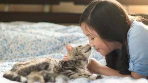 Study Shows Cats Are Aware When You Talk In Your Cat Voice 2