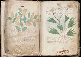 Undecipherable Voynich Manuscript Now Online For All To View 2