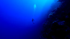 Humans Have Only Seen 0.001% of Our Deep Seafloor, According to a Study 3