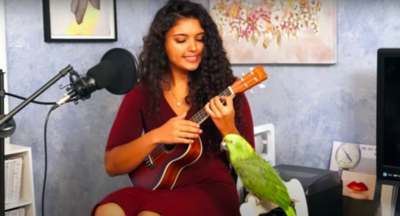 Parrot Sings Along To Ukulele Cover Of Radiohead Song ‘Creep’