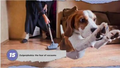 A Fascinating List of Common and Less Known Phobias