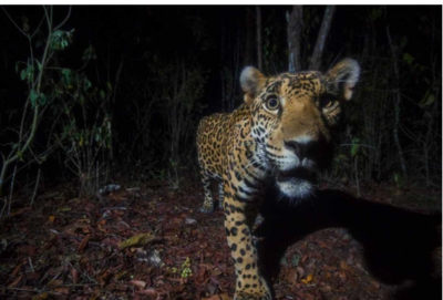 Incredible Winning Images Of 2022 Nature Focus Photography Awards