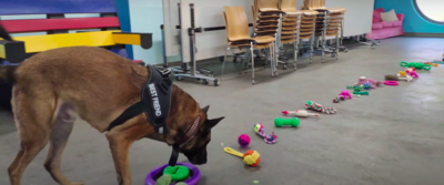 Adorable Dogs Pick Out Own Christmas Present From Lines Of Donated Toys