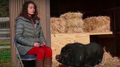 How Pet Psychics Communicate With Animals