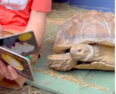 Man Loves Every Moment Of Reading Books To His Tortoise Sam