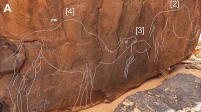 Life-Size Carvings Of Camels Discovered In Saudi Arabia Deserts