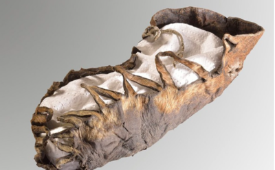 Incredibly Preserved Baby Shoe From 2,100-Years-Ago Discovered In Salt Mine
