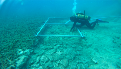 7-Thousand-Year Old Underwater Road Discovered By Researchers