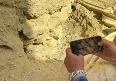 Missing Head Of Ancient Hygieia Greek Statue Finally Unearthed After 2 Thousand Years