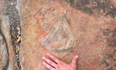 Ancient Carvings Proves Early Humans Knew About Dinosaurs