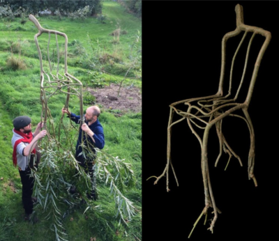 Artist Grows Incredible Furniture From Trees Growing Out The Ground