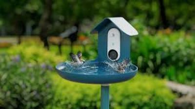 Incredible Bird Bath Now Automatically Identifies Birds Using AI