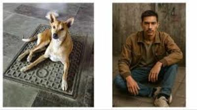 ChatGTP Creating Real Life Images Of How Pets Will Look If They Where Human