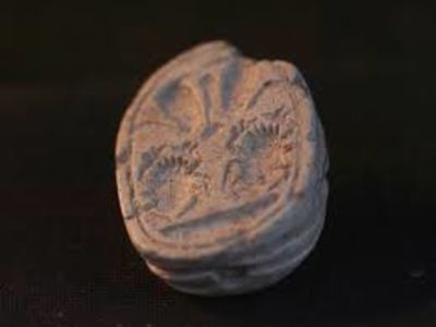 3-Year-Old Discovers 3,800-Year-Old Scarab Amulet During Family Hike