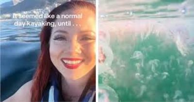 Kayakers Discover a Never-Ending Smack of Jellyfish Directly Below Them