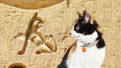 Recent Research Challenges the Conventional View on How Cats Became Domesticated
