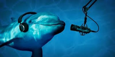 Google Is Decoding Dolphin Communication With AI and May Even Respond
