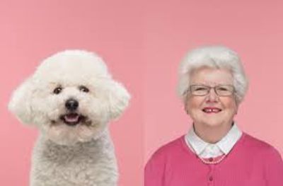 Multiple Scientific Studies Have Confirmed That Dogs and Their Owner Really Look and Behave Alike