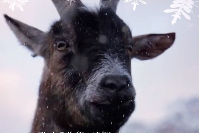 Video: Nothing Like A Goat Screaming Your Favourite Christmas Carols. 1