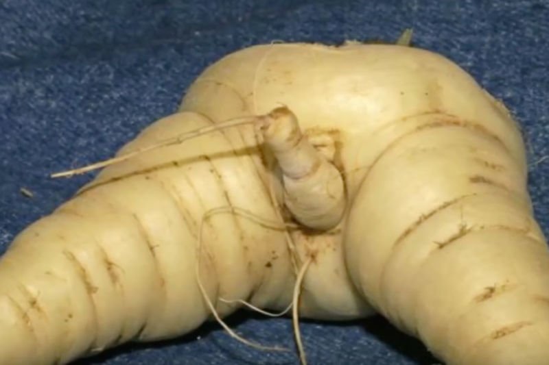 Video: Do You Have A Dirty Mind? 30 Pictures That Will Prove You Do! 1
