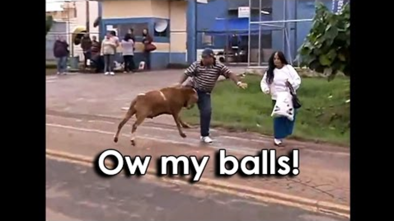 Video: Ozzy Man Reviews: Angry Goat Vs Town 1