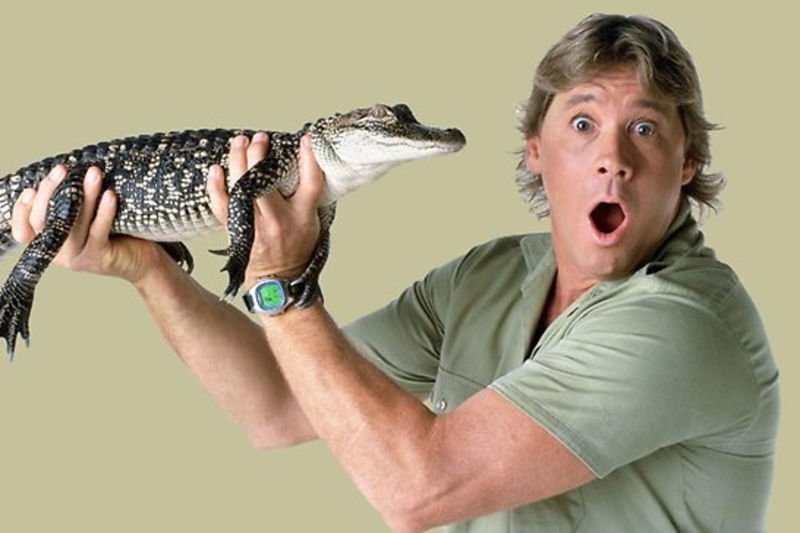 Video: A Tribute To Steve Iriwn. Here's The Wildest Remix That Capture His Animal Charm. 1