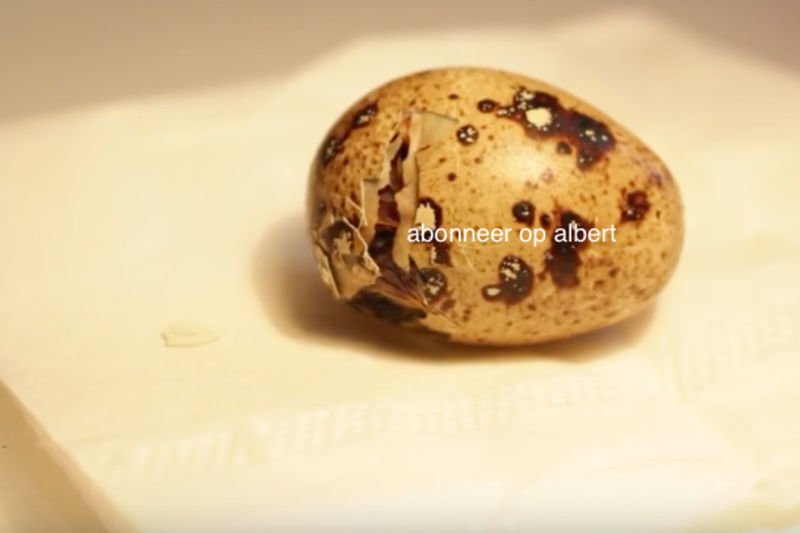 Video: You Won't Believe What Happens When This Man Incubates Eggs From The Supermarket... 1