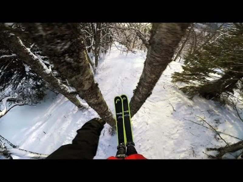 Video: Jesper Tj`der Builds His Own Ski-forest That Looks Like Narnia 1