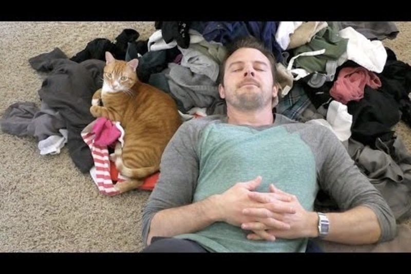 Video: Only Cat People Will Understand The Struggle! 1