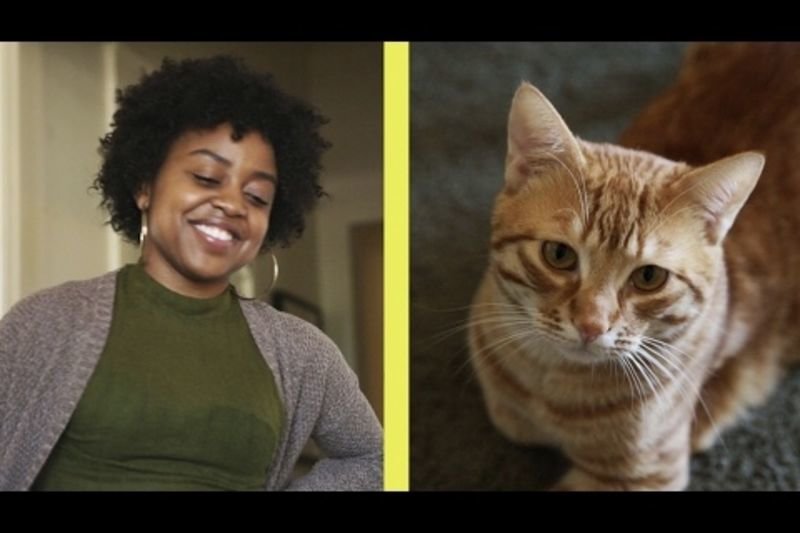 Video: Conversations Cat People Have With Their Kitties 1